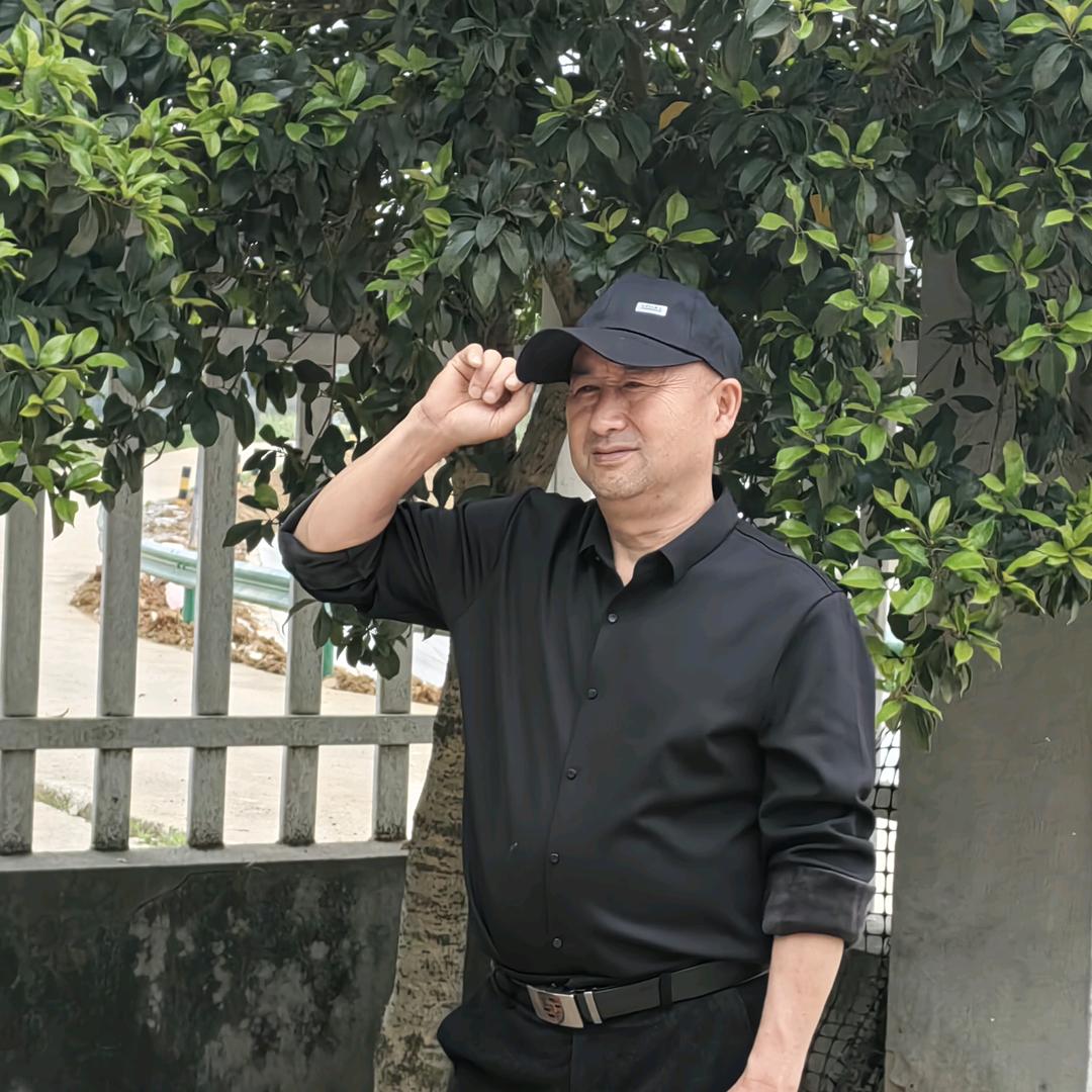 故乡的云，爱唱歌