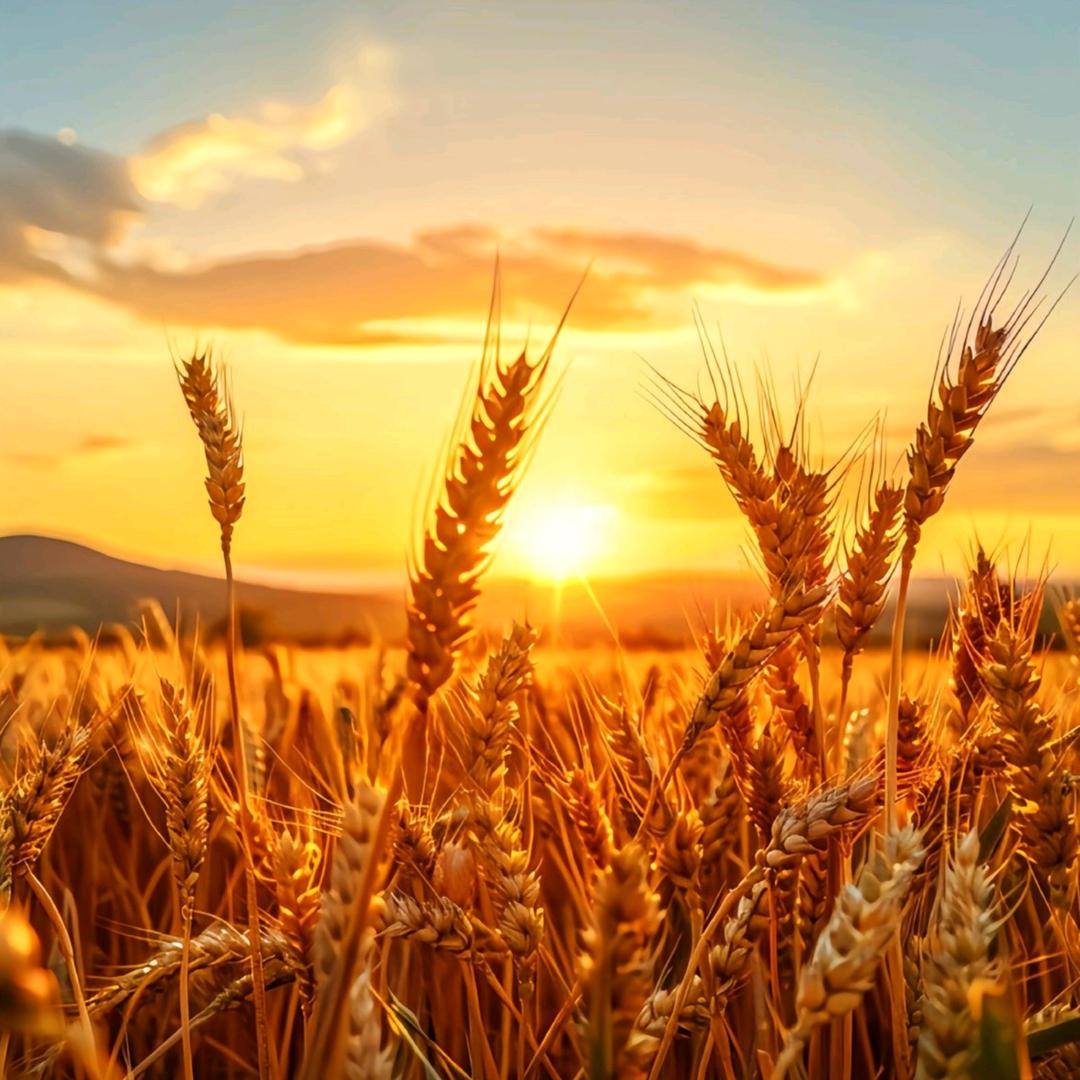 长征路上的守望者