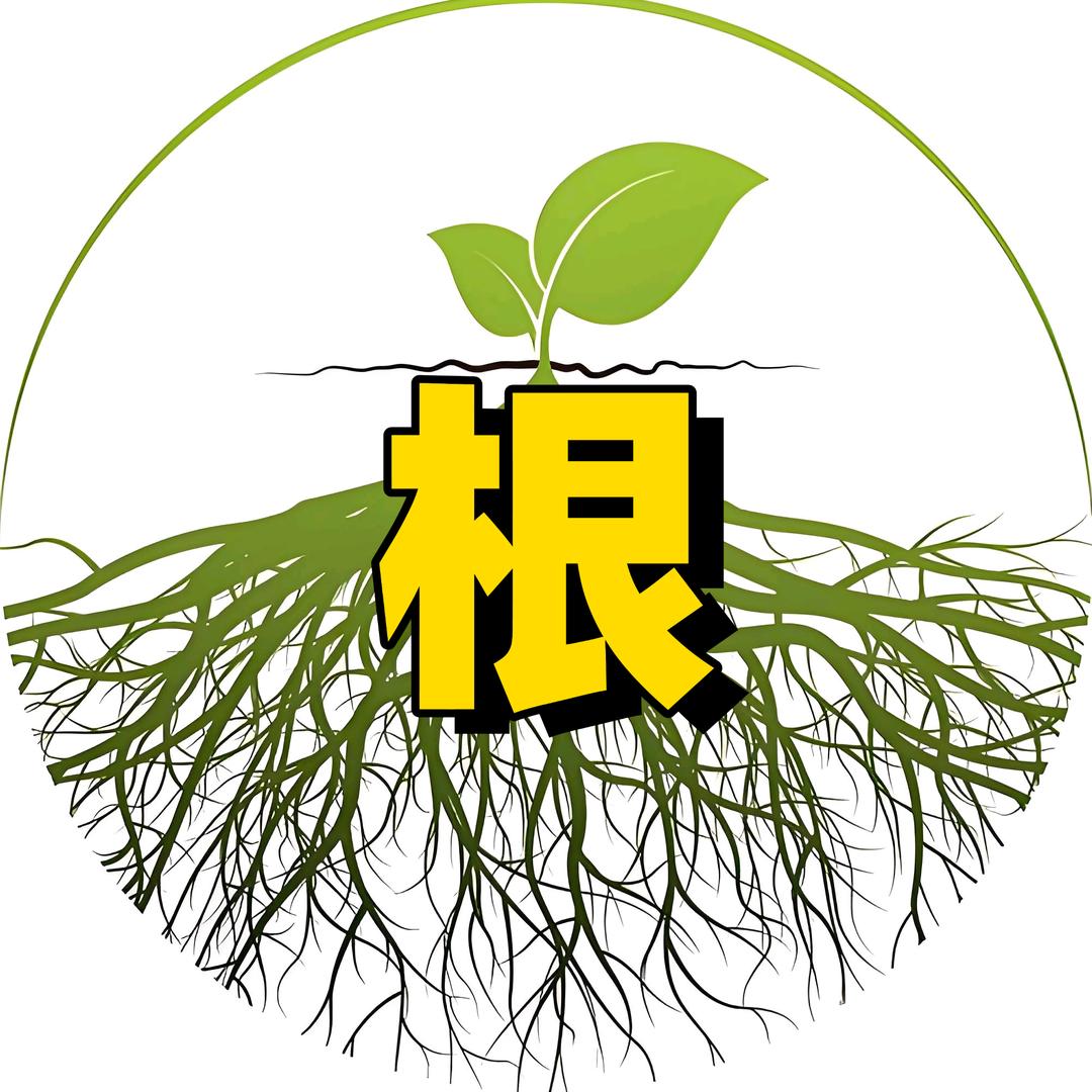 农业深一度-石名
