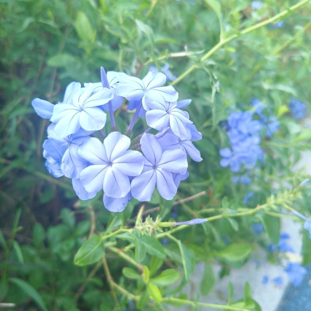 每天更新不一样的文案。发文案爱好而已😊