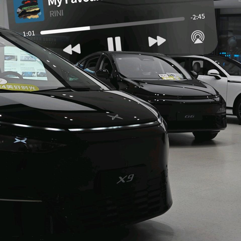 XPEV_–NPC