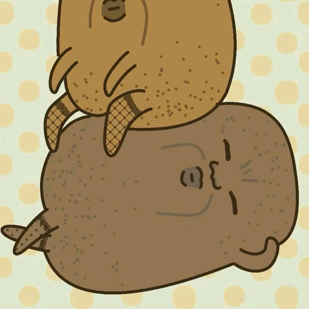 喜欢鲨仁