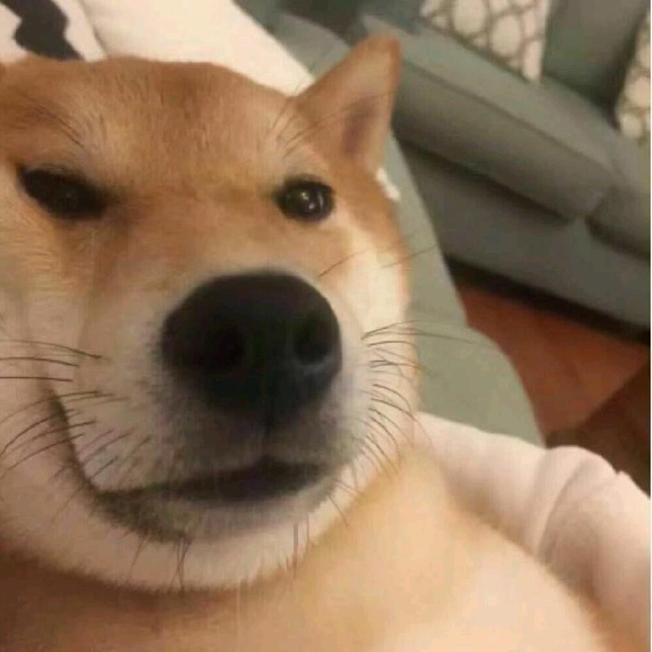 峰云数码是等我直播号