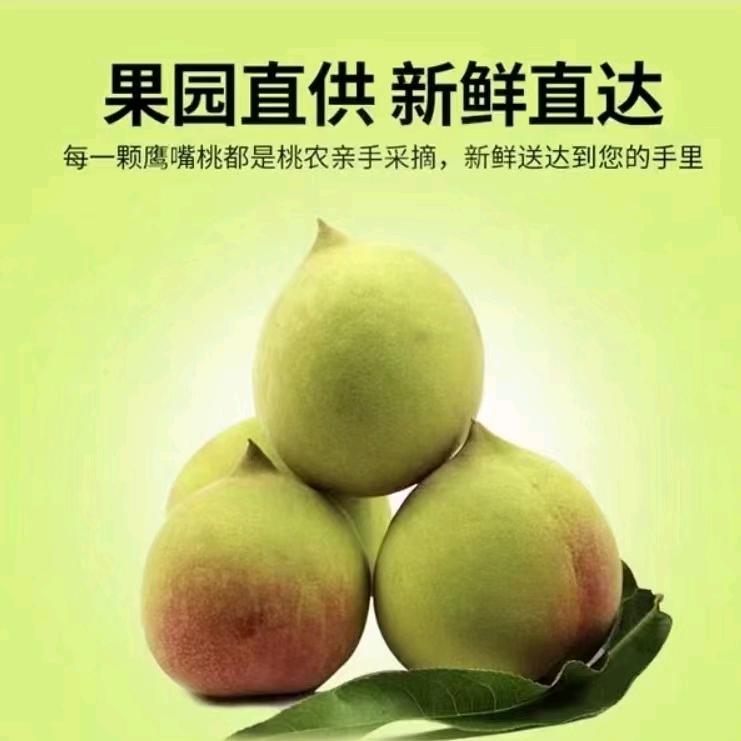 桃花缘生态农场