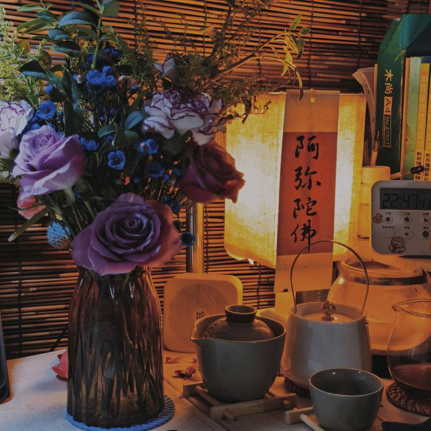 鹿鹿的备考日记