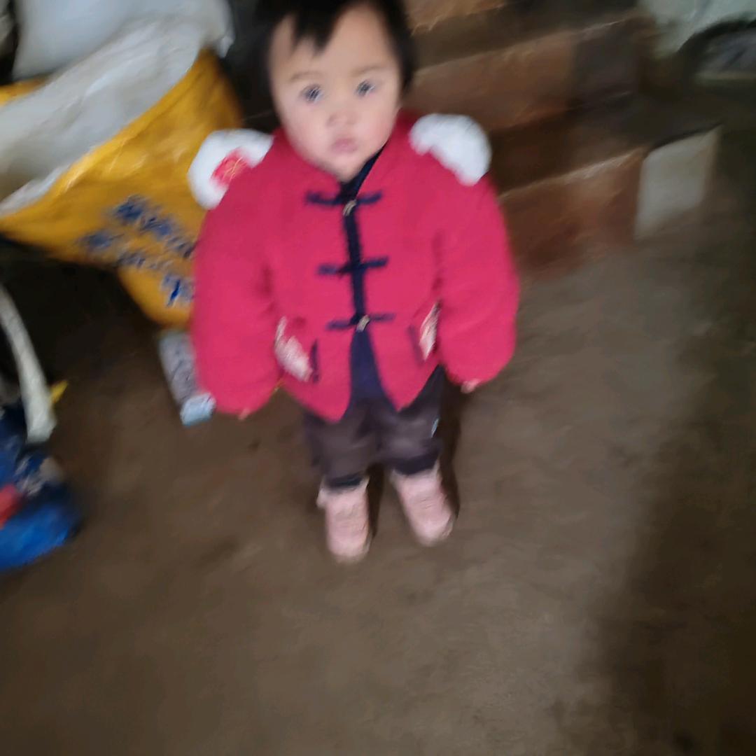 毕聪