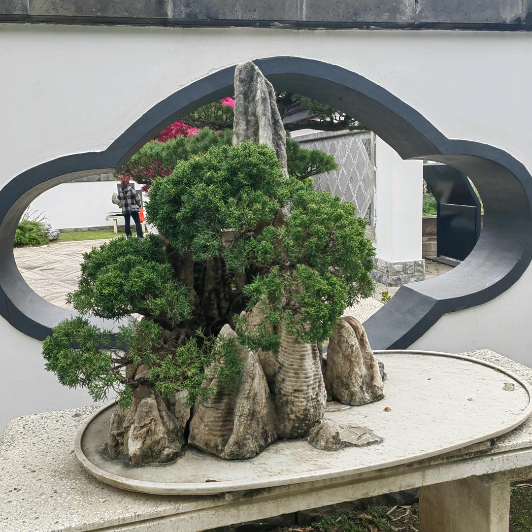 人生