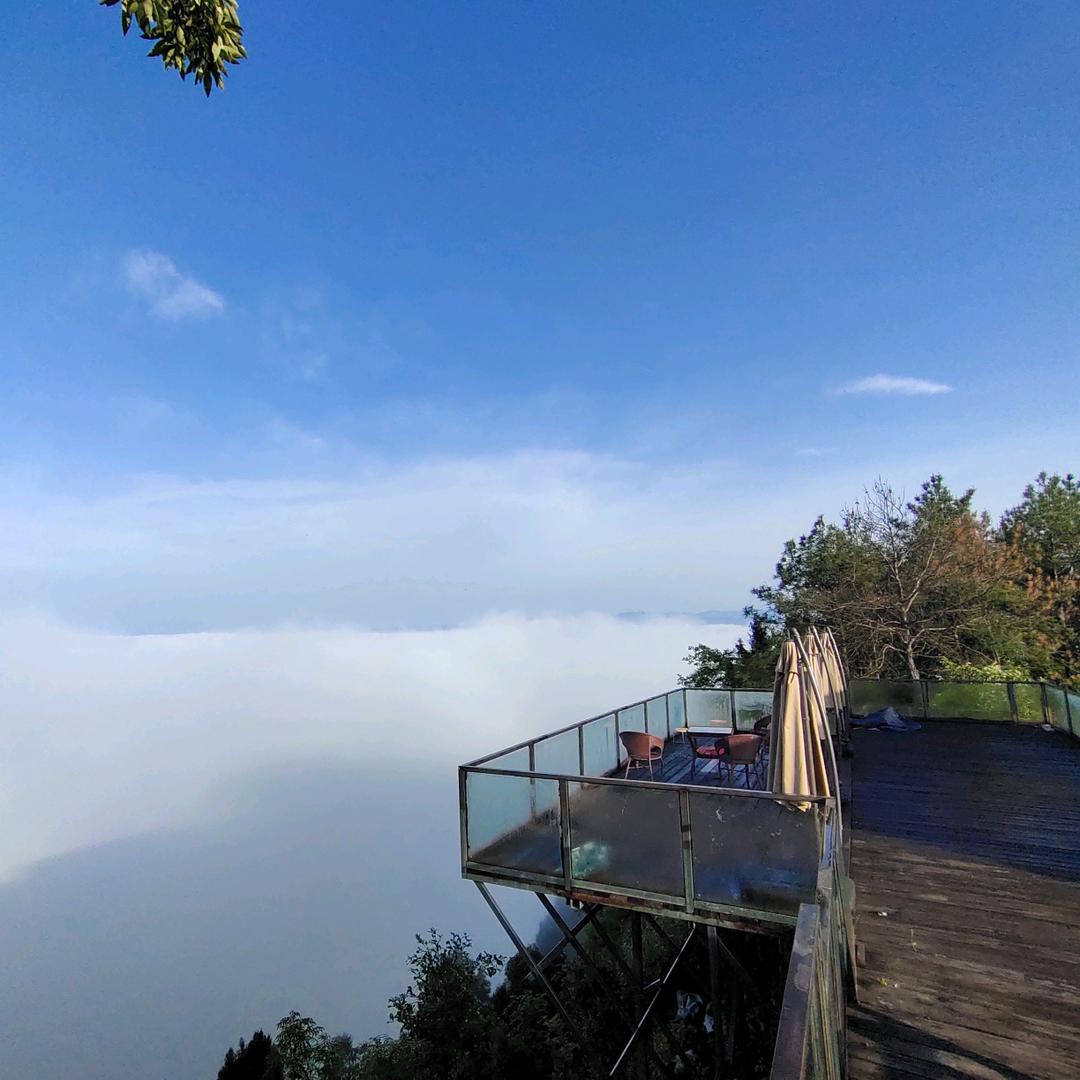 龙城寨共享农场