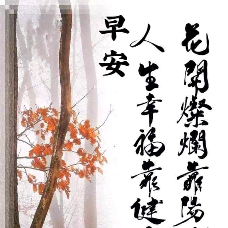 💞ℒᎭℯ⃝BB仔꧔ꦿ᭄࿐ᩚ