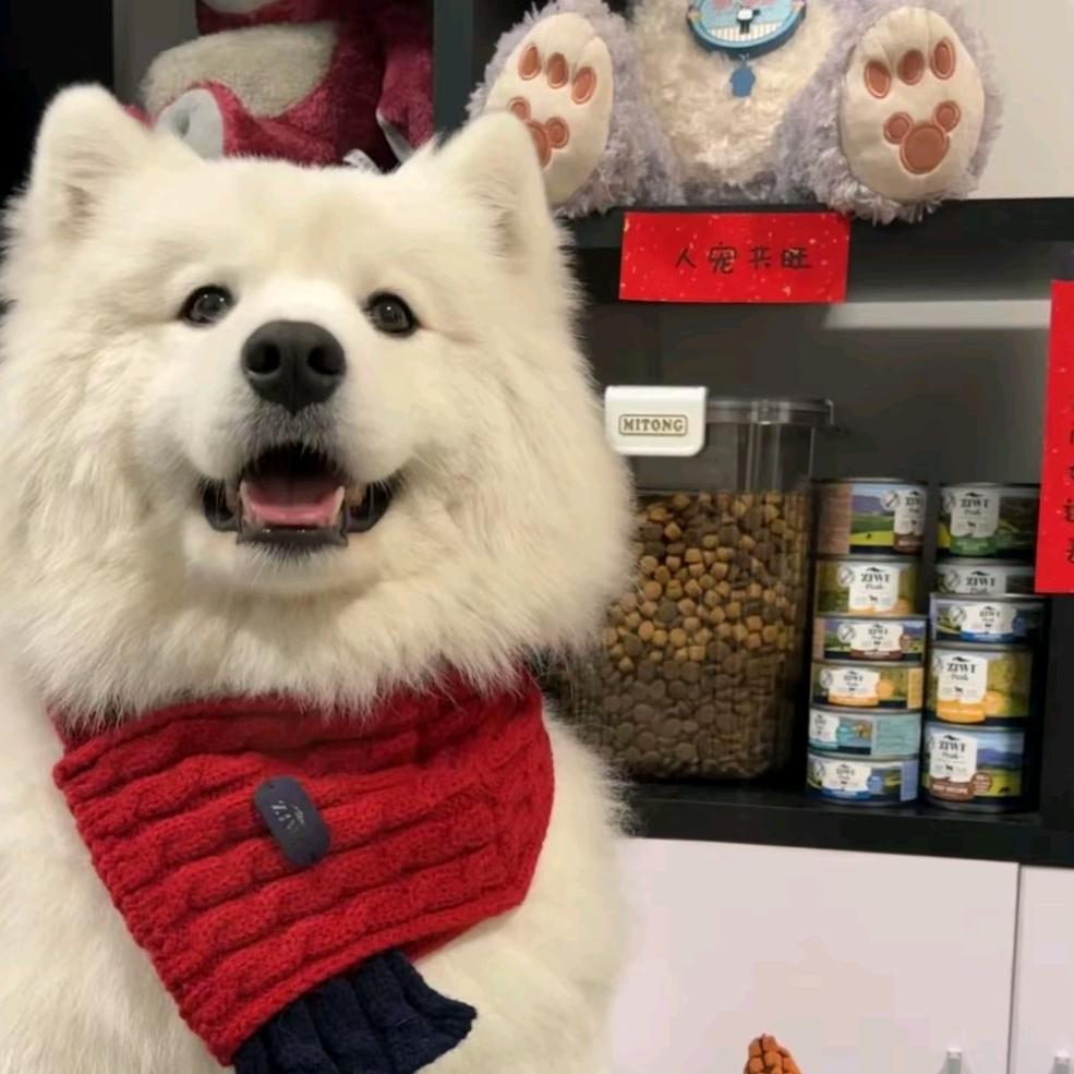 𝙄𝙞𝙞𝙤𝙫𝙚𝟳