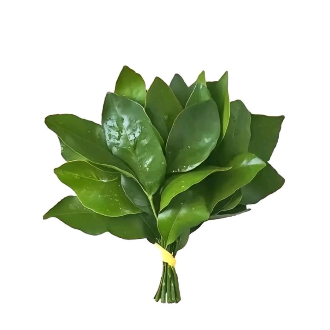 不发脾气只发财