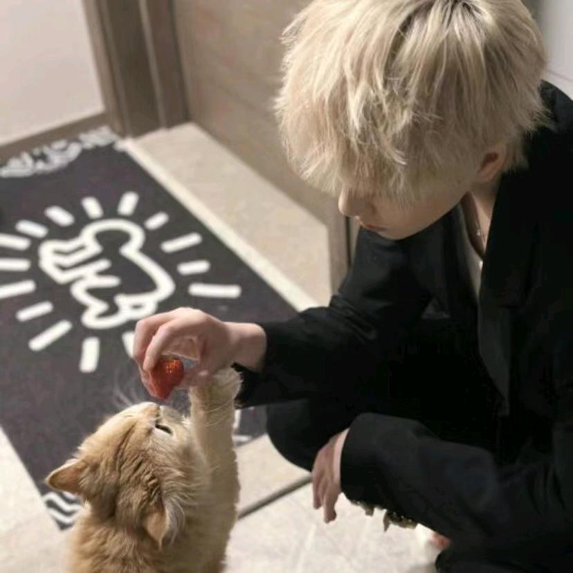 小罗要去看世界