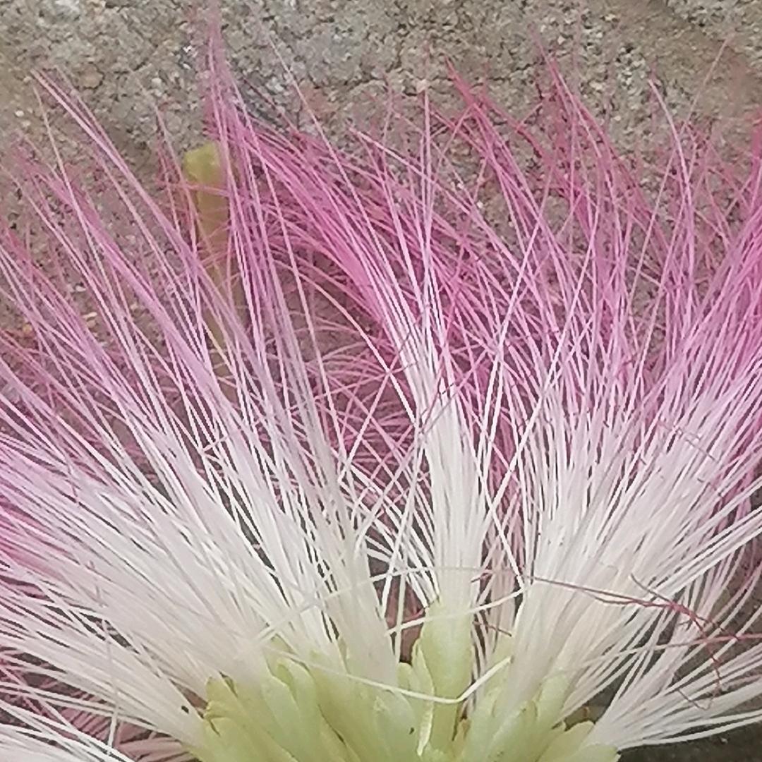 新沂一哥
