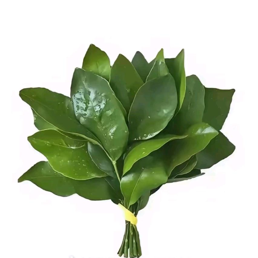 ⁵有¹点想ᵗᵃ