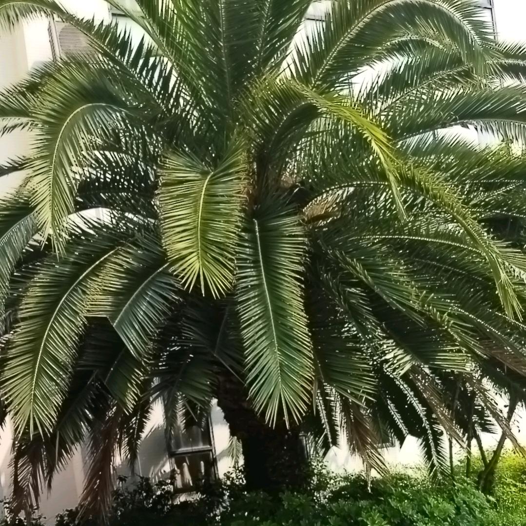 明白初现1025