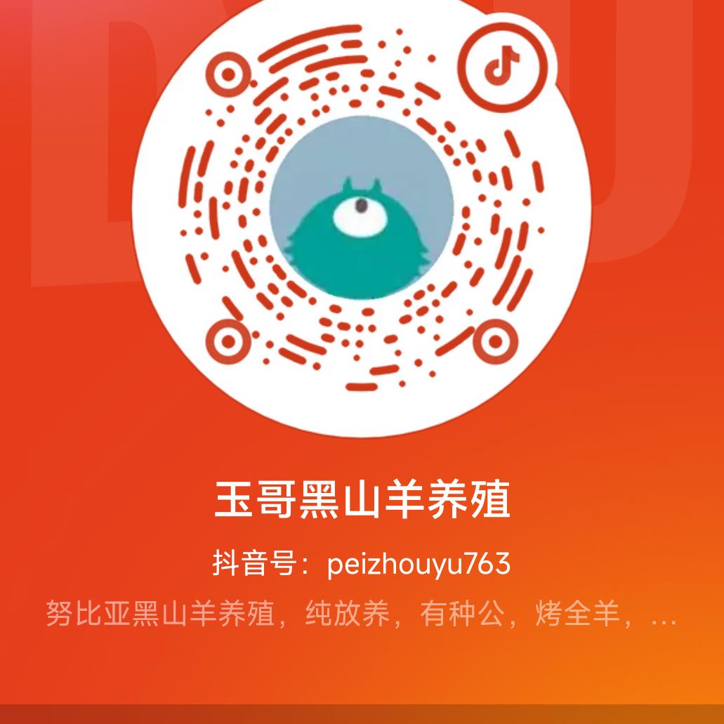 玉哥黑山羊养殖