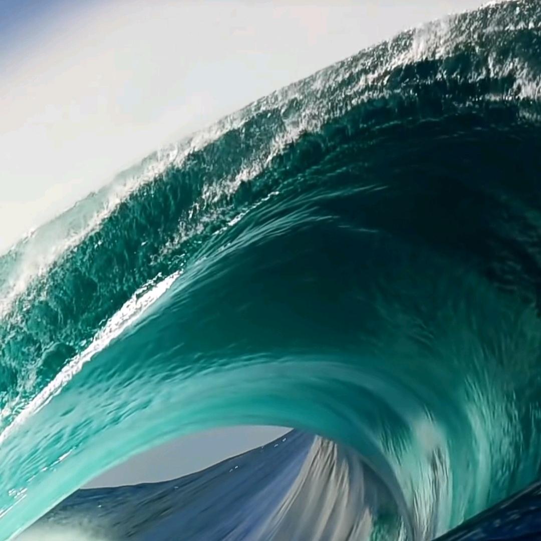 岚山杨老弟（2）