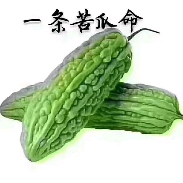 莫斯科没有眼泪