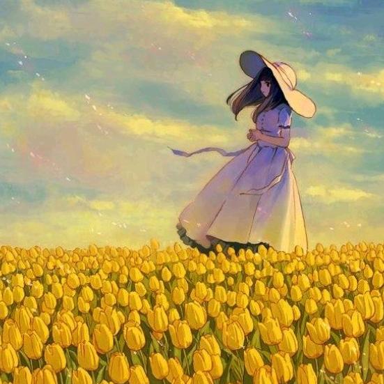 宸晨好物分享🍀