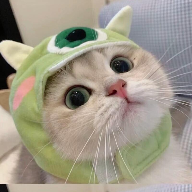 给生活比个耶✌🏻