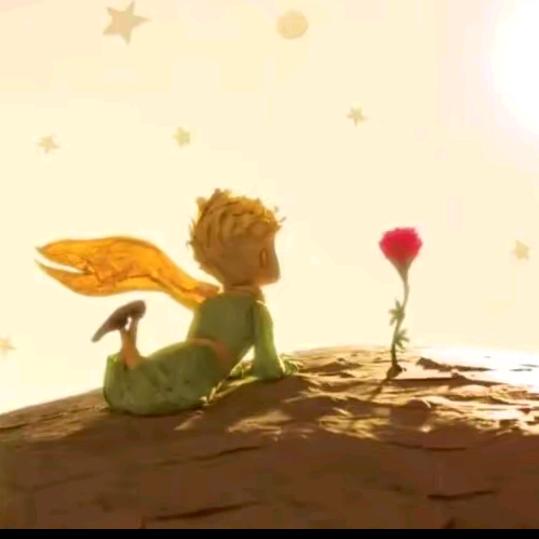 ₍˄·͈༝·͈˄*₎◞ ̑̑.