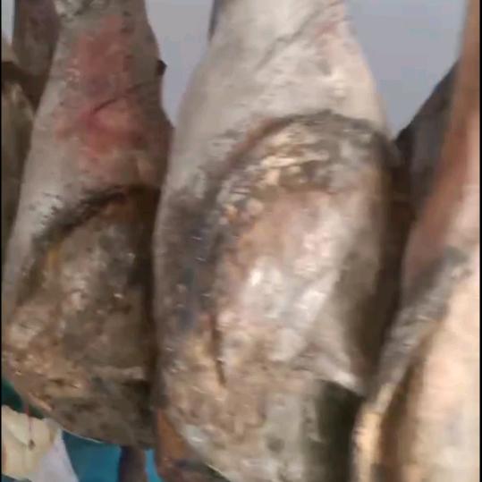 明朗家乡火腿
