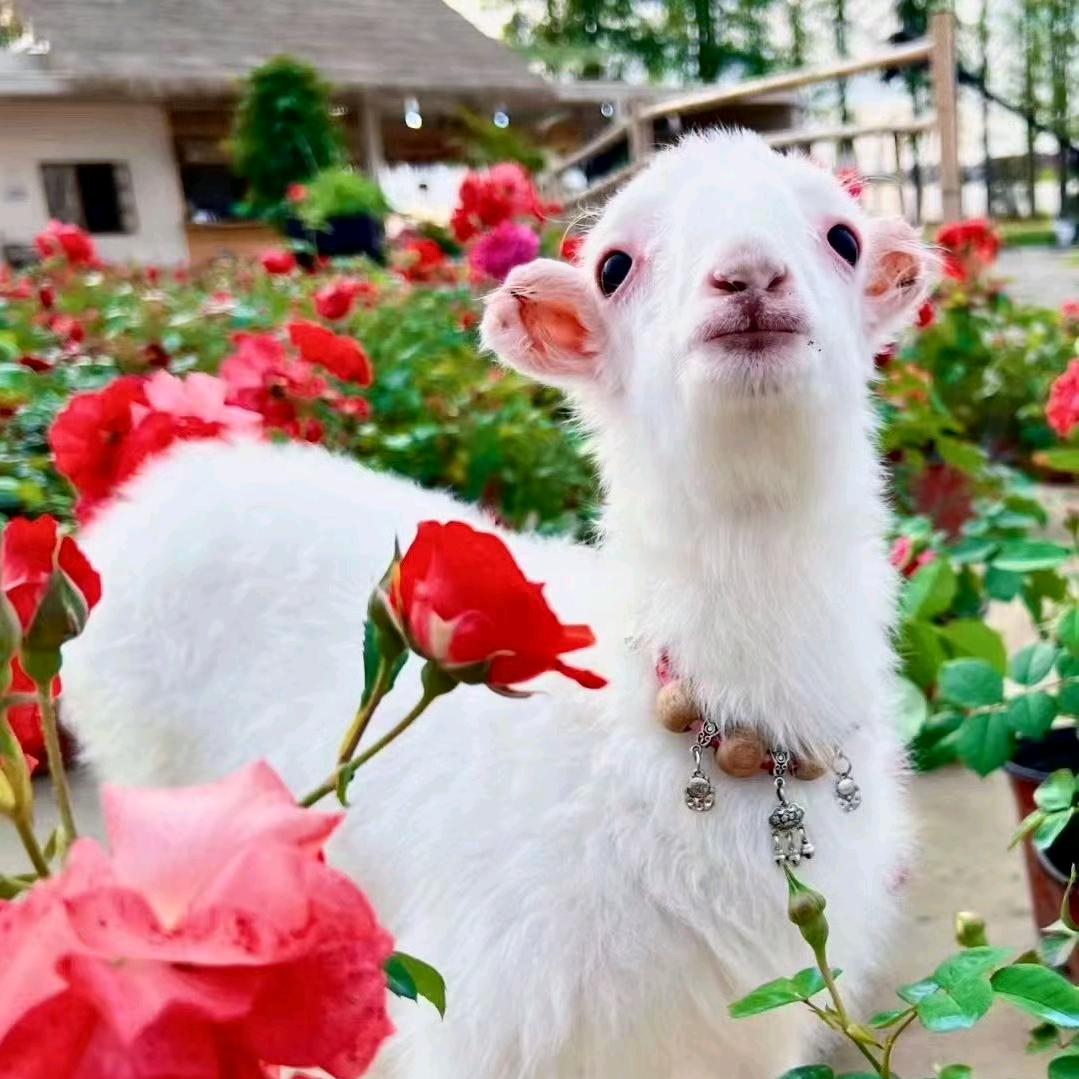 永远在一起🌾