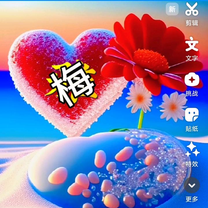 💗实现梦想💗