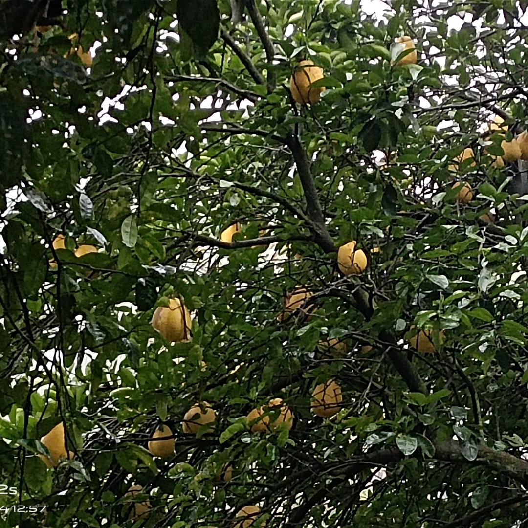 相识就是缘