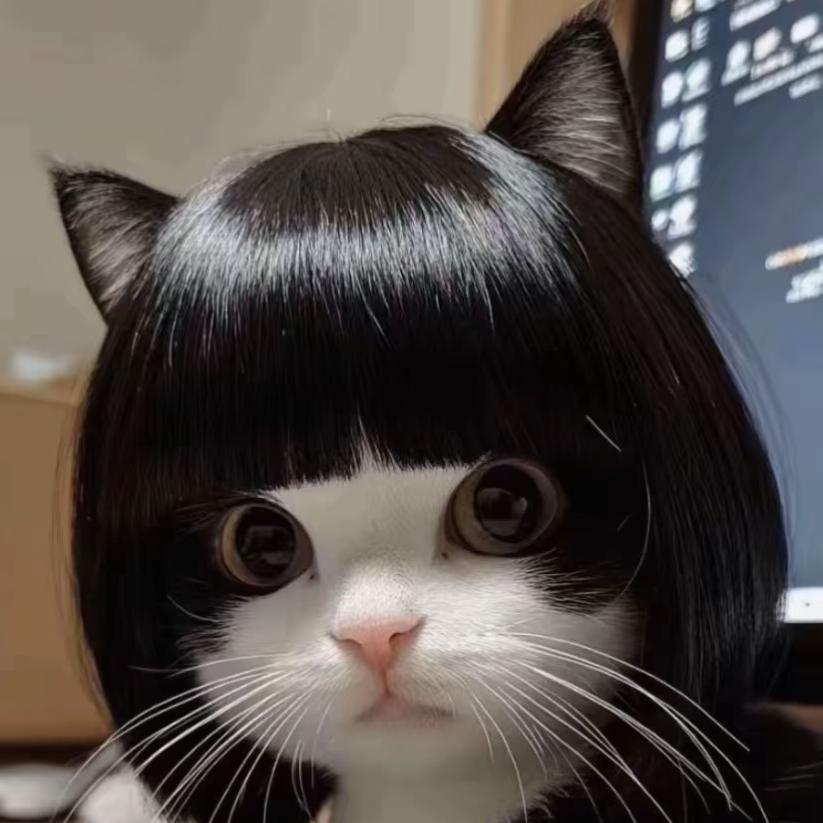 清和（小猫咪mimi）