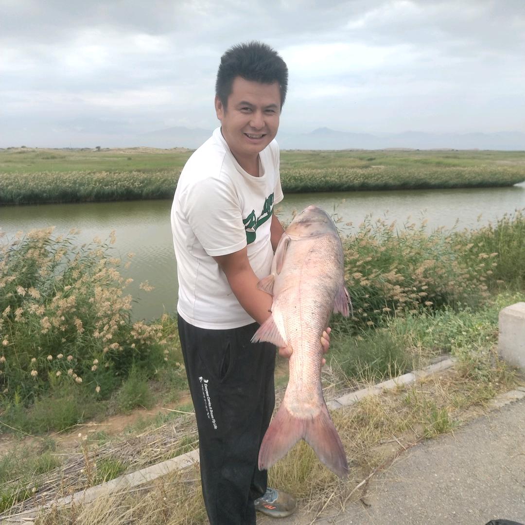 野钓龙飞