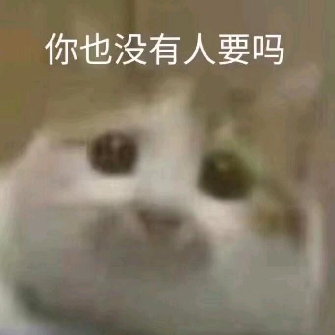 恶魔猫猫买麦麦（不to，不要连赞）