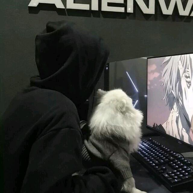 旭升网络科技