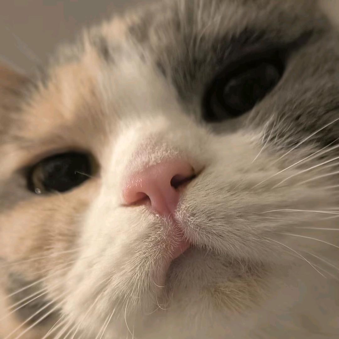 附心