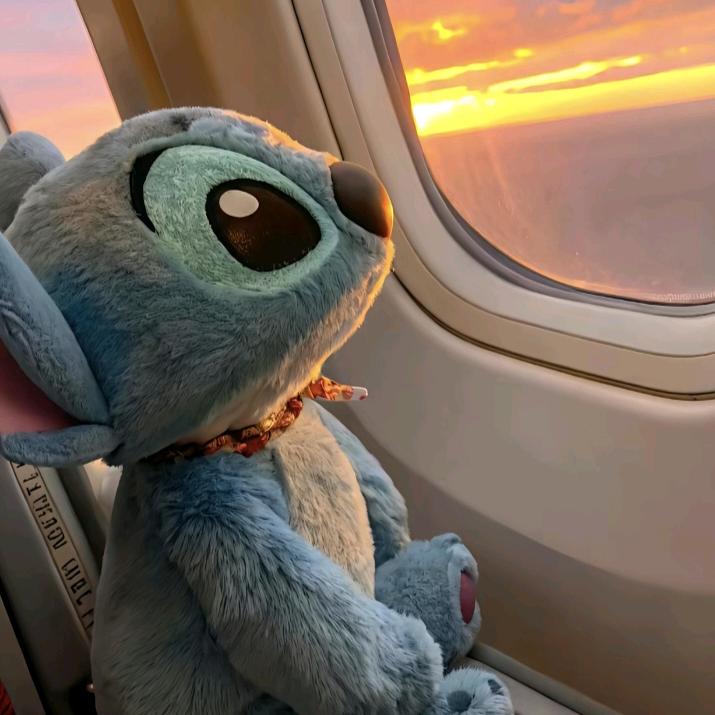 Hu•͈ᴗ•͈u ᰔᩚ、🐰🐰