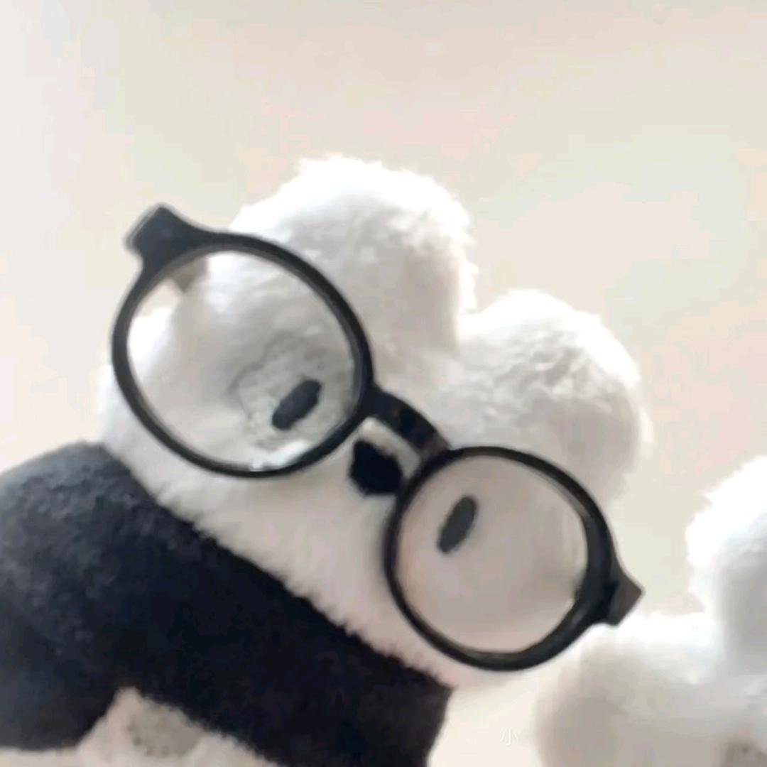 夺笋