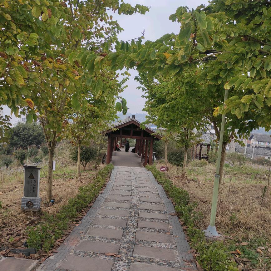 会姐
