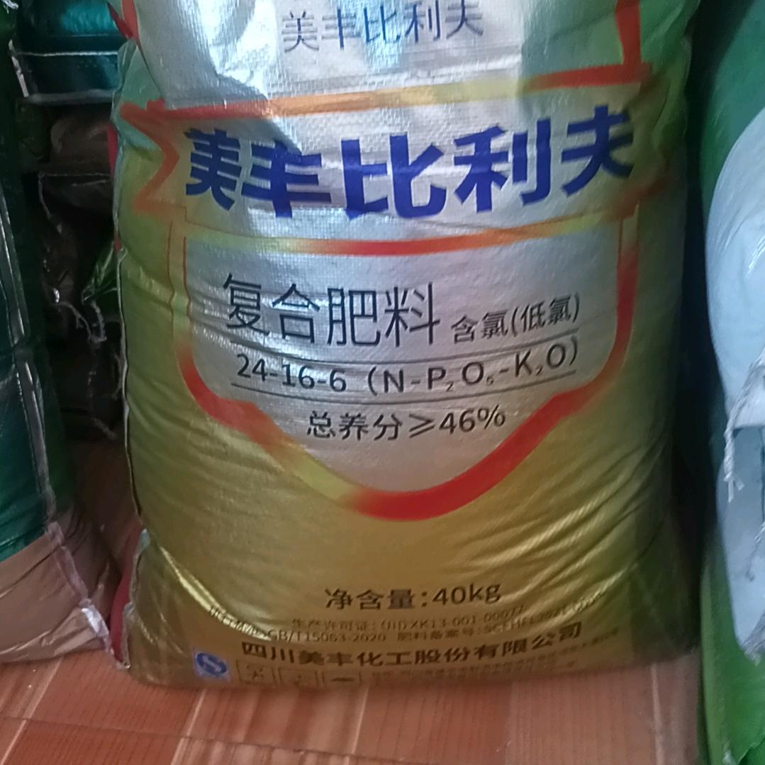 低调做人