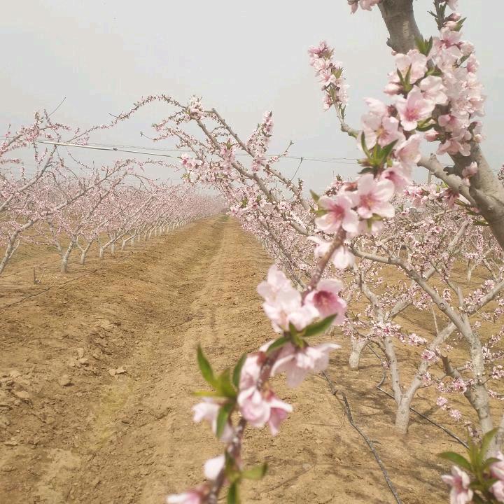 空白