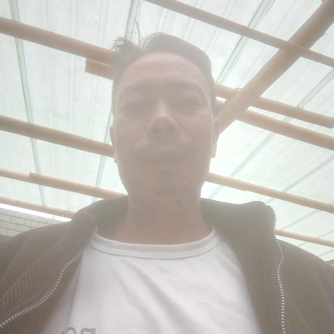 樊龙平