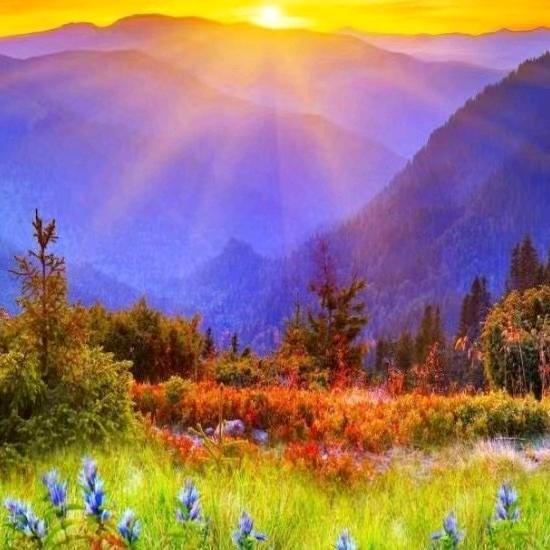 顺势而为掌握命运