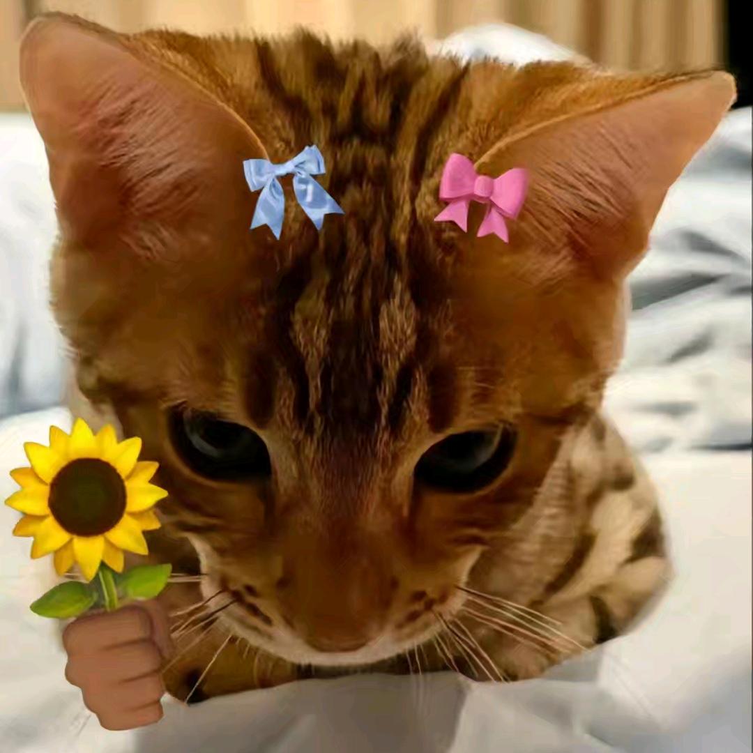 橘生于南