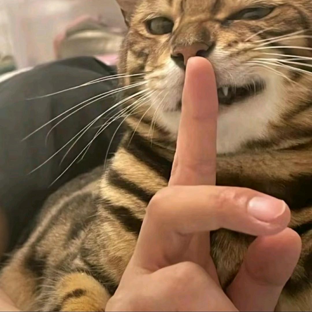 唐伯虎