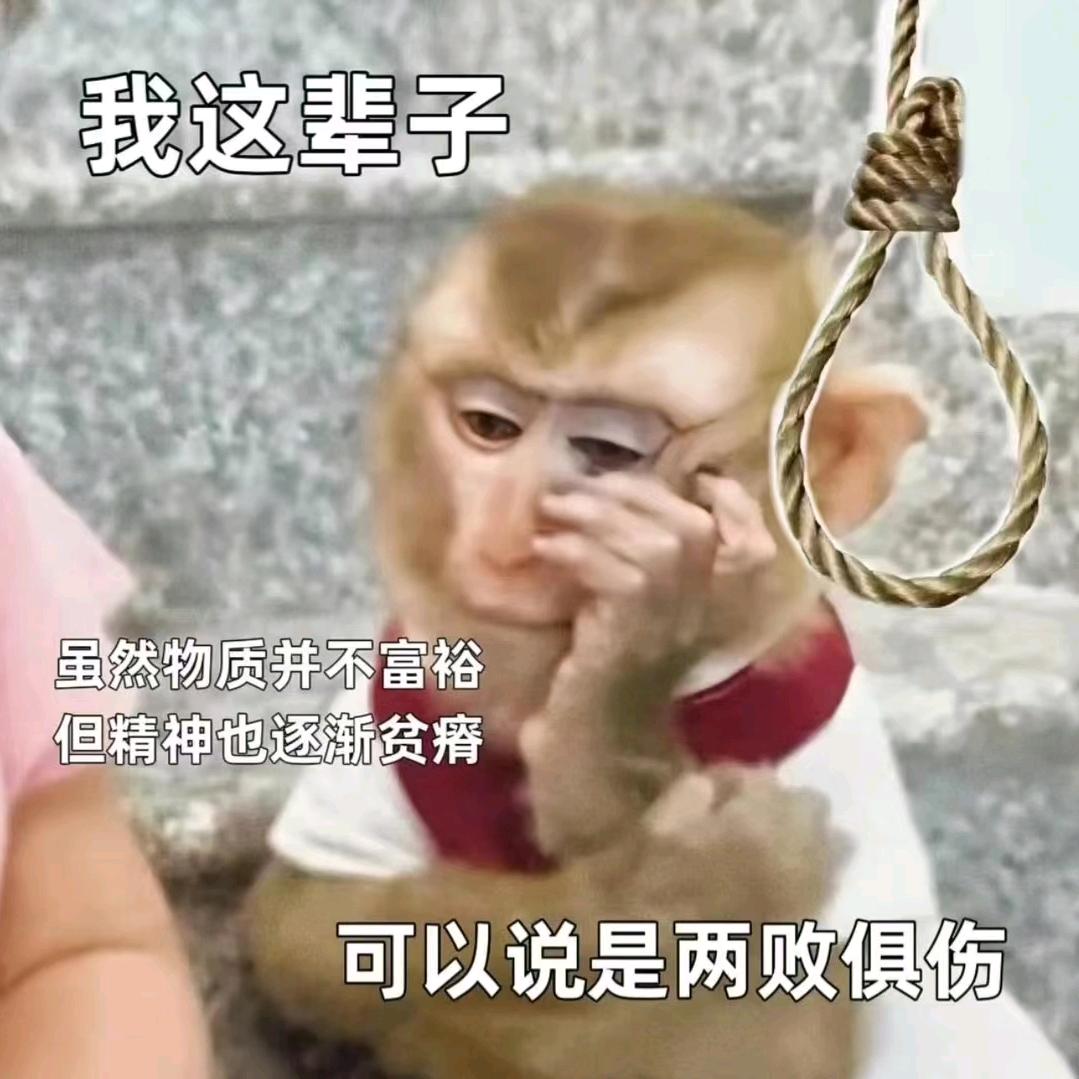 Jocitoi头像