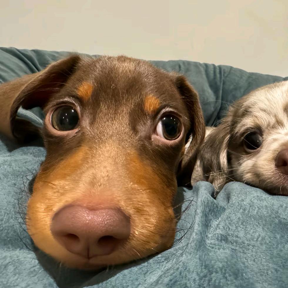 AAA下水道疏通大陈