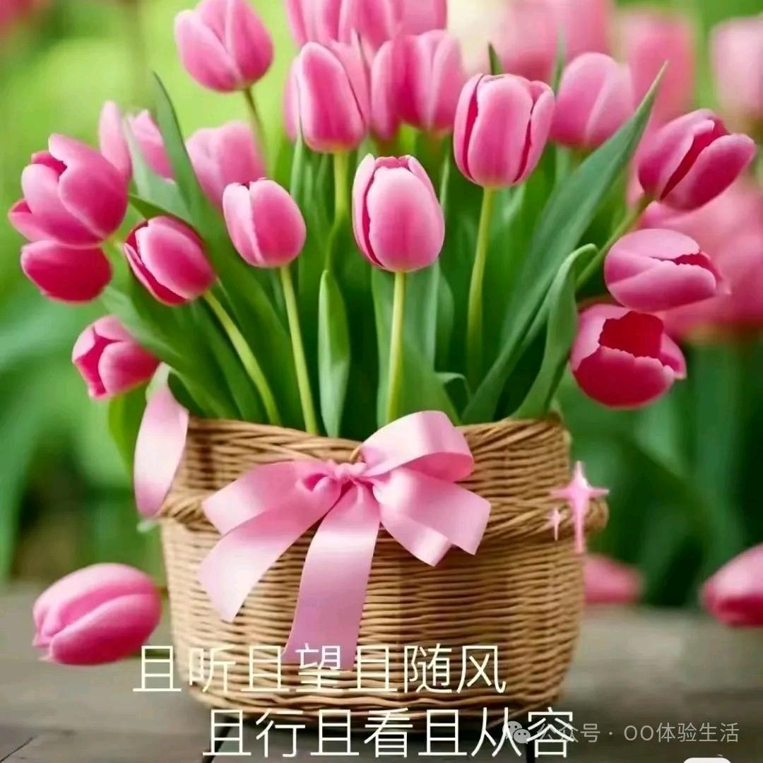 双虎家居巧姐