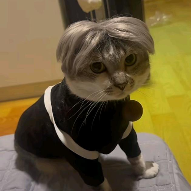 西大街咳嗽