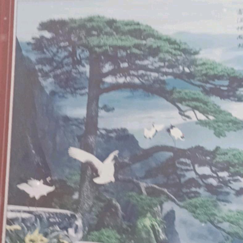 如梦初醒