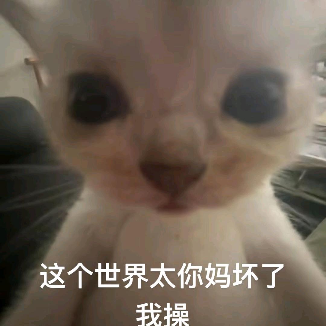 芭乐大王