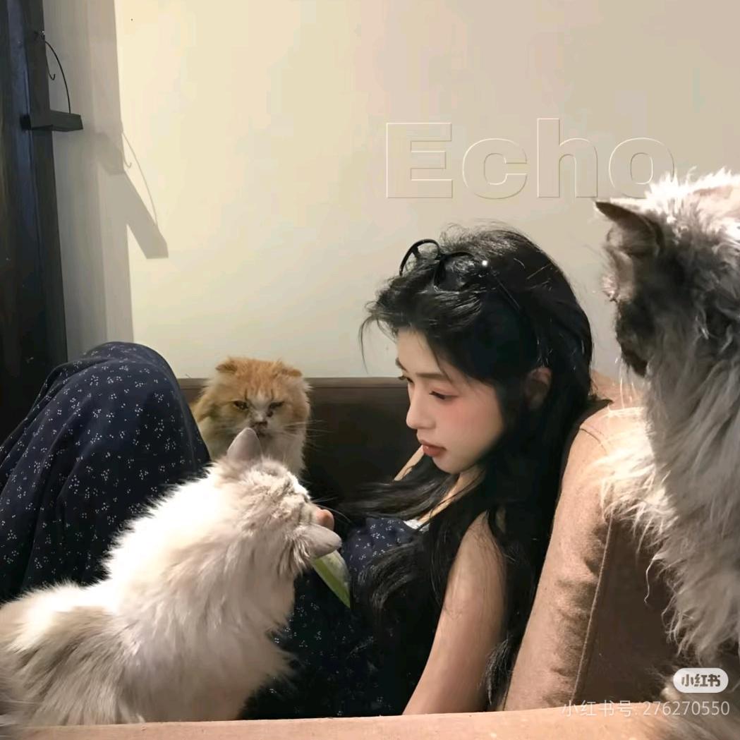 糕糕